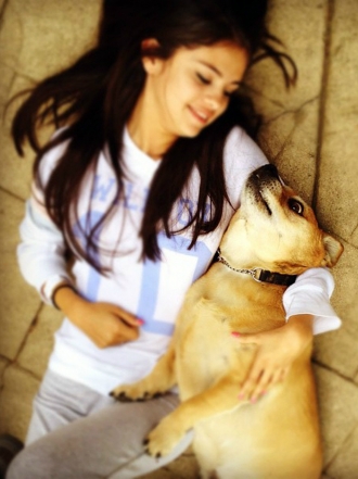 Perros de famosos: Baylor, el Husky de Selena Gomez