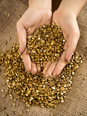 Soñar con pepitas de oro: encuentra tu riqueza