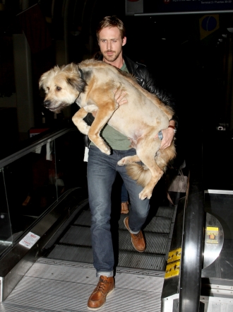 Perros de famosos: el enorme perro mestizo de Ryan Gosling