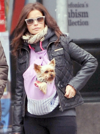 Perros de famosos: Marta Torné, enamorada de su Yorkshire