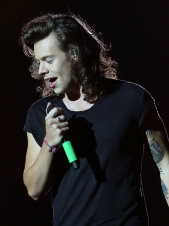 ¿Larry es real? Así opinan las fans de One Direction