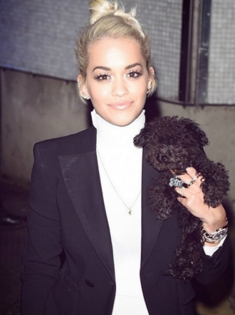 Perros de famosos: Cher, la Maltipoo de Rita Ora