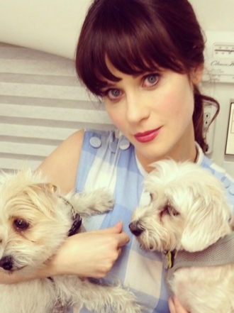 Perros de famosos: las perritas rescatadas de Zooey Deschanel