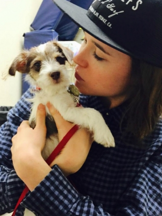 Perros de famosos: Patter y Sailor, las preciosidades de Ellen Page