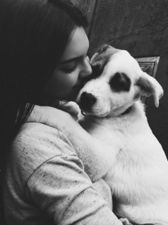 Perros de famosos: los preciosos labradores de Kendall Jenner