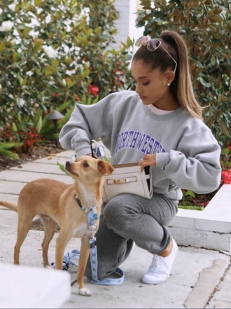 Nombres para perros que triunfan en 2016