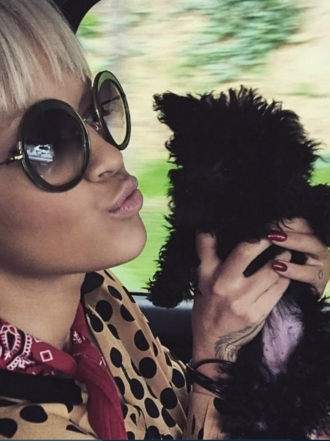 Lista de nombres para perros pequeños en 2016