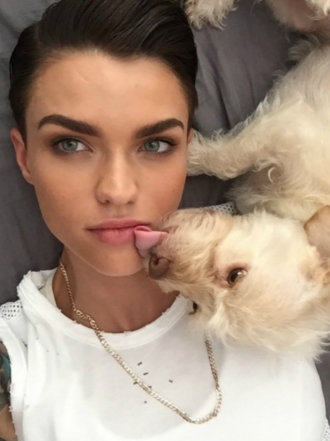 Perros de famosos: Ru y Chance, el Terrier y Chihuahua de Ruby Rose