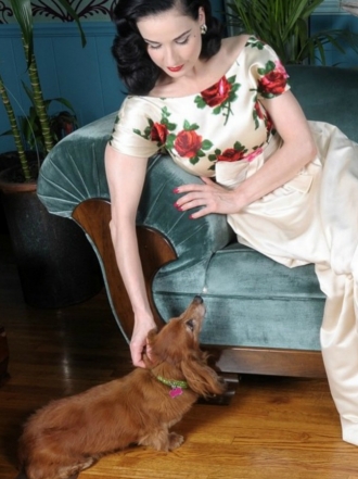 10 nombres originales para perros salchicha en 2016