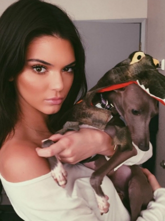 10 ideas de nombres de perros para 2016