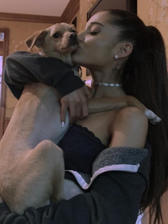 Nombres para perros más populares en 2016