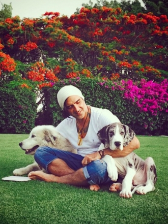 Perros de famosos: Kallum, el Gran Danés de Alejandro Fernández