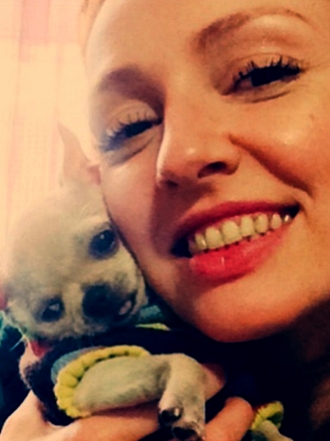 Nombres bonitos para perros Chihuahua en 2016