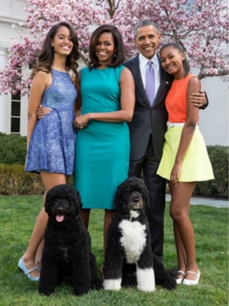 Perros de famosos: Bo y Sunny, los perros de agua de los Obama