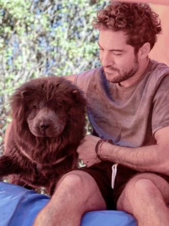 Perros de famosos: Nala, el Chow chow de David Bisbal
