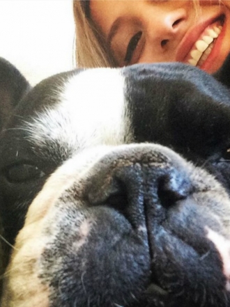 Perros de famosos: Ringo, el bulldog francés de Michelle Jenner