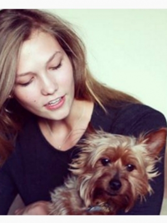 Perros de famosos: Joe, el yorkshire terrier de Karlie Kloss
