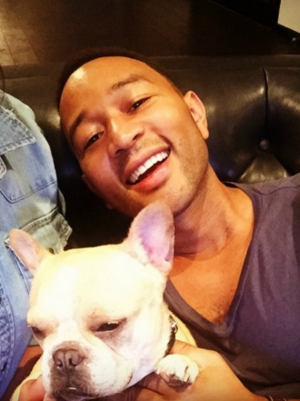 Perros de famosos: los bulldog de Chrissy Teigen y John Legend