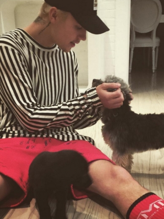 Perros de famosos: Justin Bieber, la maltipoo Esther y el labrador Phil