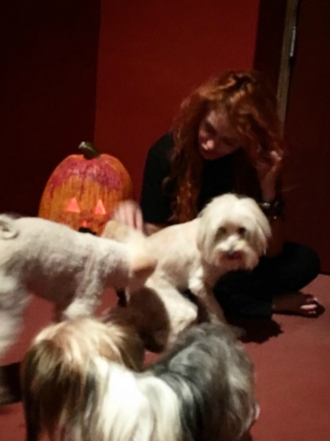 Perros de famosos: los rubios, las mascotas de Paulina Rubio