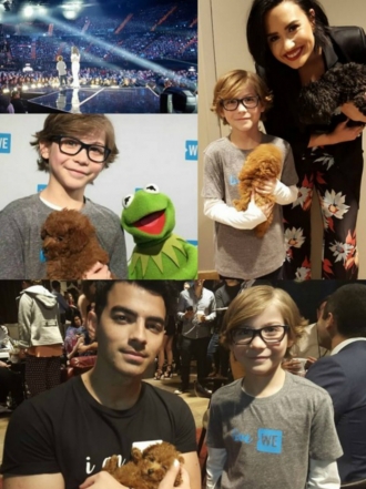 Perros de famosos: el caniche de Jacob Tremblay, el niño de The Room