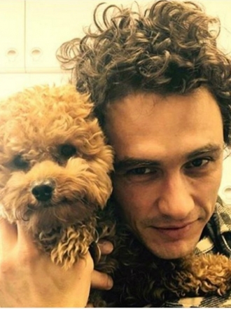 Perros de famosos: Ruly, el caniche marrón de James Franco