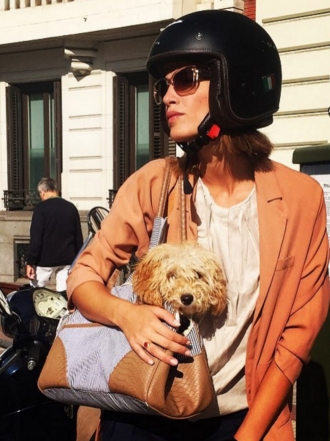 Perros de famosos: Juanita, la caniche de Laura Sánchez y David Ascanio