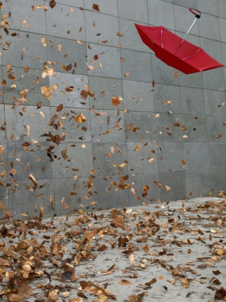 Soñar con un vendaval: vientos de cambio