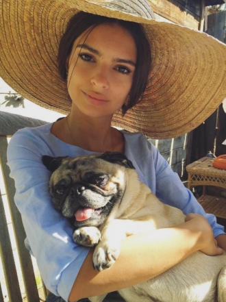 Perros de famosos: Moose, el pug de la modelo Emily Ratajkowski