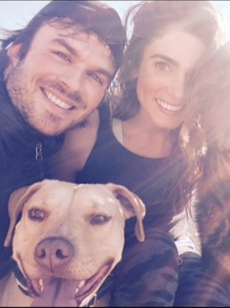 Perros de famosos: las mascotas de Nikki Reed e Ian Somerhalder