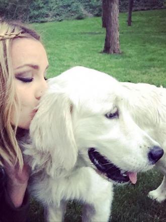 Perros de famosos: Roc, mejor amigo de Rym y el golden de Anna Simón