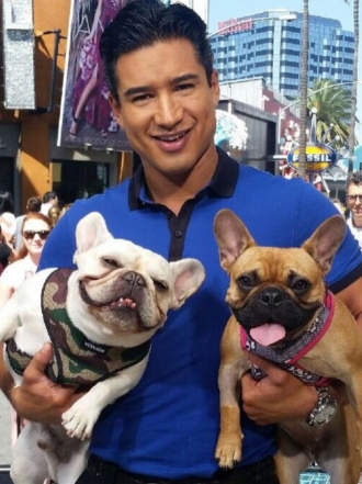 Perros de famosos: los bulldog francés de Mario López y familia