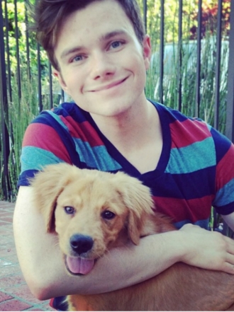 Perros de famosos: Cooper, el golden retriever de Chris Colfer de Glee