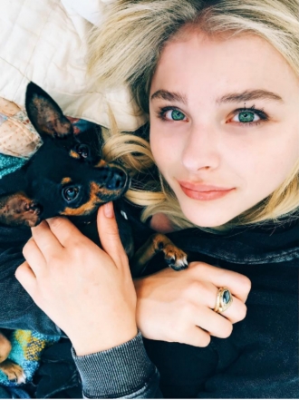 Perros de famosos: Pearl, la pinscher miniatura de Chloe Grace Moretz