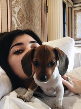Perros de famosos: Penny, el nuevo cachorro de Kylie Jenner