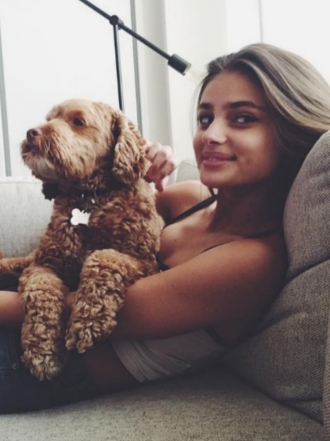 Perros de famosos: Tate, el caniche mestizo de Taylor Hill