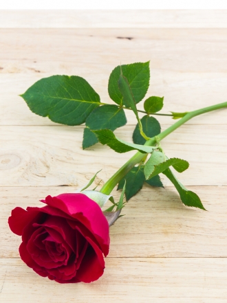 Un hechizo de amor para conseguir que tu novio te desee aún más