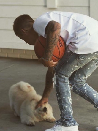 Perros de famosos: Todd, el Chow chow de Justin Bieber