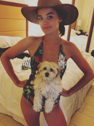 Perros de famosos: Elvis, el maltipoo de Lucy Hale