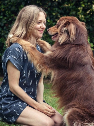 Nombres para perros según cada raza: ideas para tu amigo canino