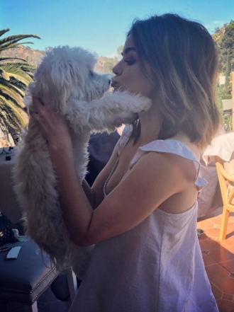 Nombres de cantantes para perros