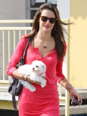 10 nombres para perros que nunca pasan de moda