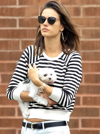 10 nombres para perros hembra inspirados en modelos