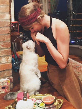 10 nombres muy especiales y bonitos para gatos