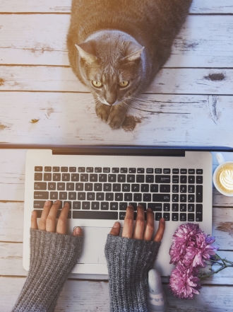 El trabajo en el Año del Gallo según el horóscopo