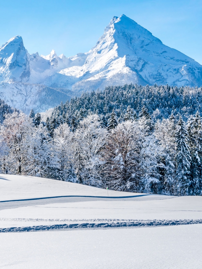 Soñar con montañas nevadas: el ascenso hacia tu bienestar