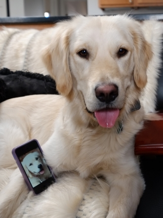 10 nombres de perros muy modernos inspirados en las nuevas tecnologías