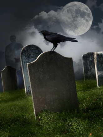 10 animales que predicen la muerte