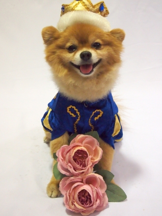 Nombres para tu mascota inspirados en príncipes Disney