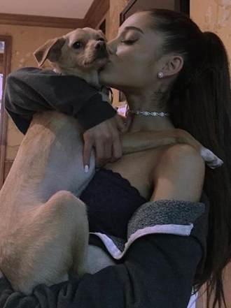 Cosas que puedes hacer con tu perro y nunca habías imaginado